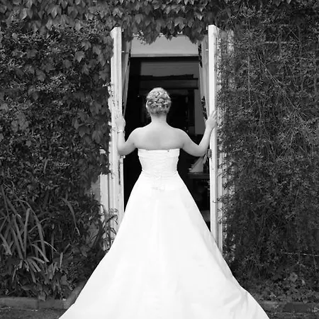 Hotel The Treebridge