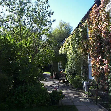 Hotel The Treebridge 2*