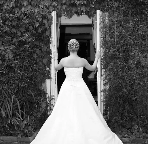 ホテル The Treebridge