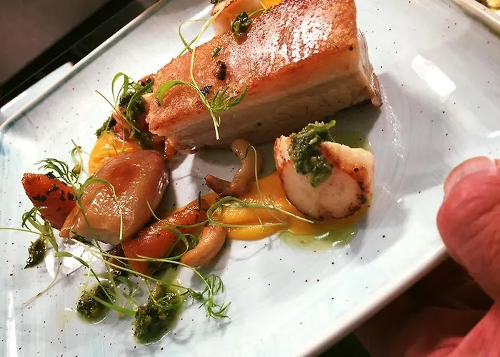 酒店 树桥酒店 2*