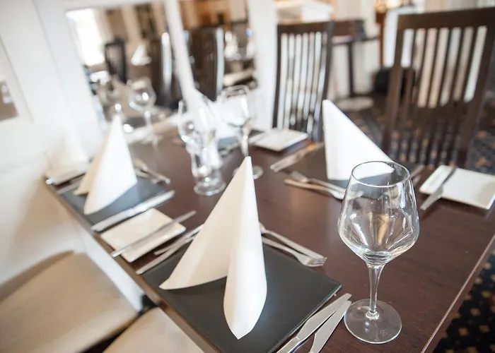 酒店 树桥酒店 2*